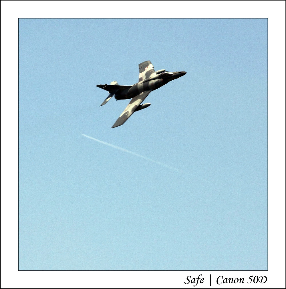 2010   05   Ferte Alais   143